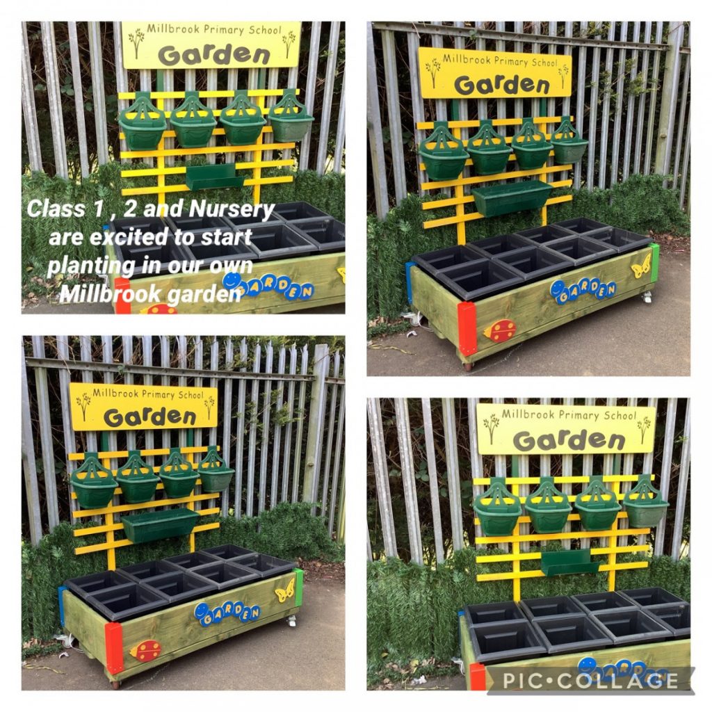 Science & Gardening Millbrook Primary School
